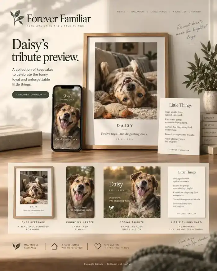 Daisy rescue dog tribute