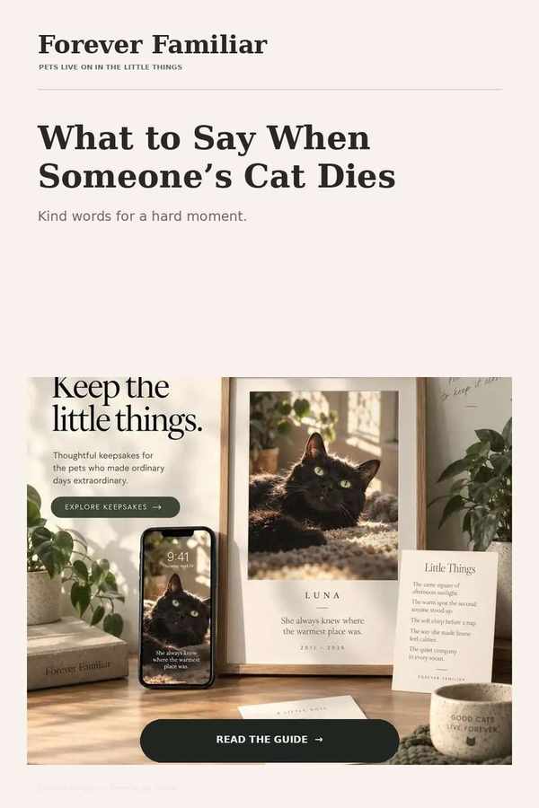 What to say when someone's cat dies