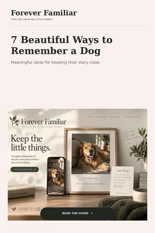 Seven beautiful ways to remember a dog