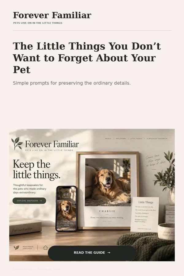 Little things to remember about your pet